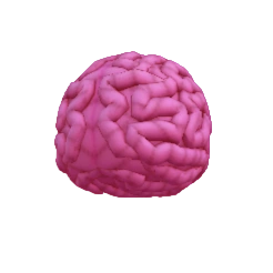 Brain Ball